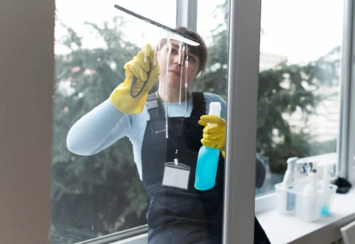 Nettoyage de vitres intérieures et extérieures à Saint-Jean-Bonnefonds